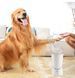 Лапомийка Pet Foot Wash 827-6 Автоматичний очищувач собачих лап з юсб USB, 2000мАh, акумуляторний, для дому 2052691 фото 2